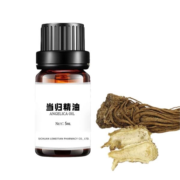 Angelica essential oil