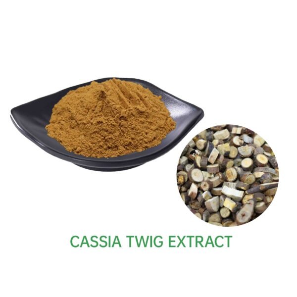 Cassia Twig Extract 10:1 20:1 30:1