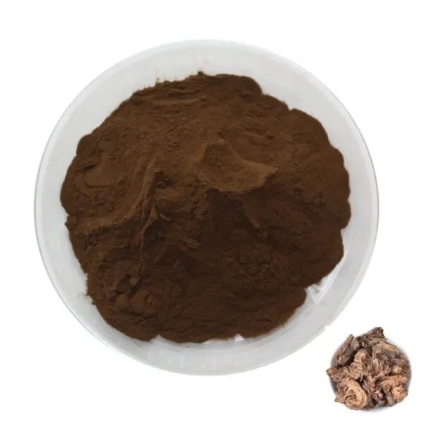 Notopterygium root extract 10:1