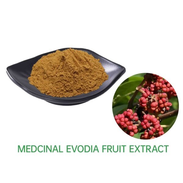 Medcinal Evodia Fruit Extract 10:1 20:1 30:1/ Evodia fruit extract 10% to 98%