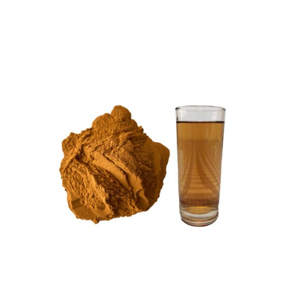 Medcinal Evodia Fruit Extract 10:1 20:1 30:1/ Evodia fruit extract 10% to 98% - Image 3