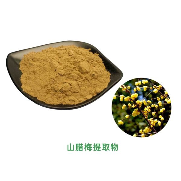 Chimonanthus nitens Extract 10:1 20:1 30:1 50:1