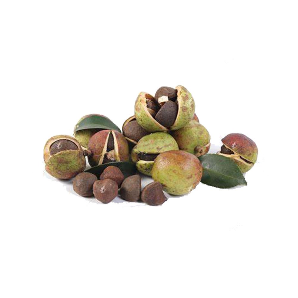 Camellia oil - Image 4