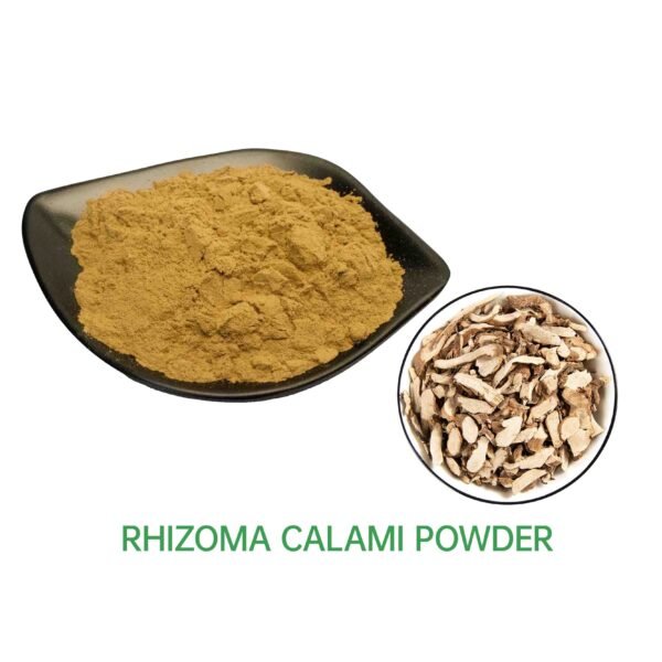 Calamus Extract/Rhizoma Calami Powder 10:1 20:1 30:1