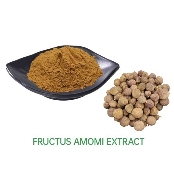 Fructus Amomi Extract 10:1 20:1 30:1 50:1
