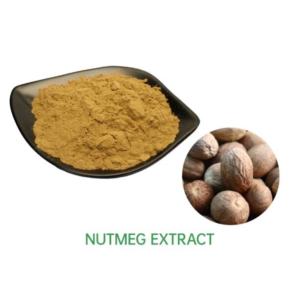 Nutmeg Extract 10:1 20:1 30:1