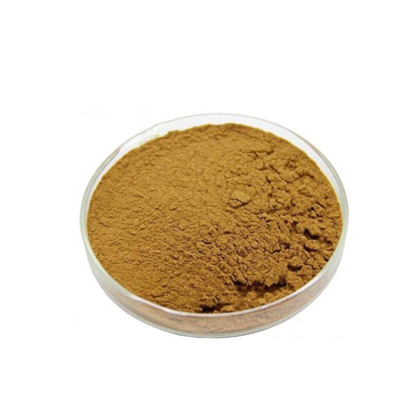 Nutmeg Extract 10:1 20:1 30:1 - Image 3