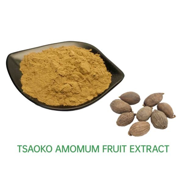 Tsaoko Amomum Fruit Extract 10:1 20:1 30:1