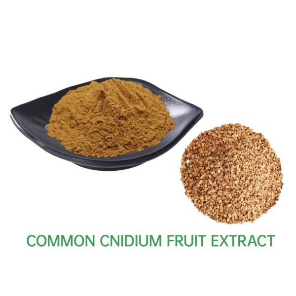 Cnidium Fruit Extract 10:1 20:1 30:1/ Cnidium 10% to 98%