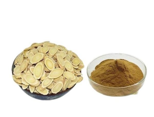 Astragalus extract: Astragaloside 98%