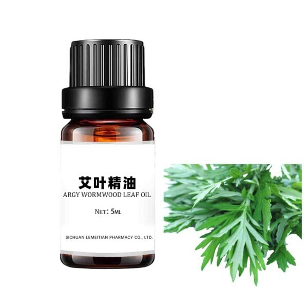 Mugwort essential oil Argy Wormwood Leaf oil