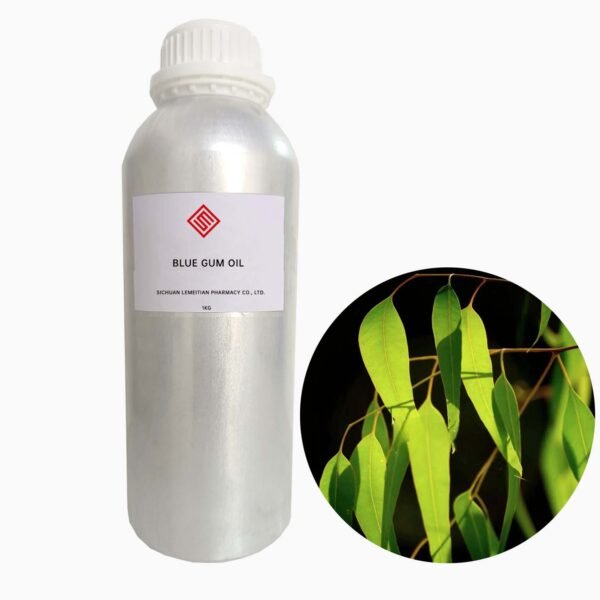 Eucalyptus blue essential oil - Image 3