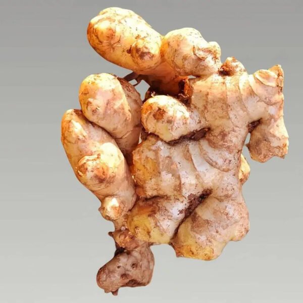 Ginger essential oil - Image 4