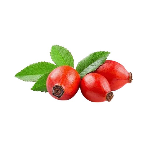 Rosehip essential oil - Image 4